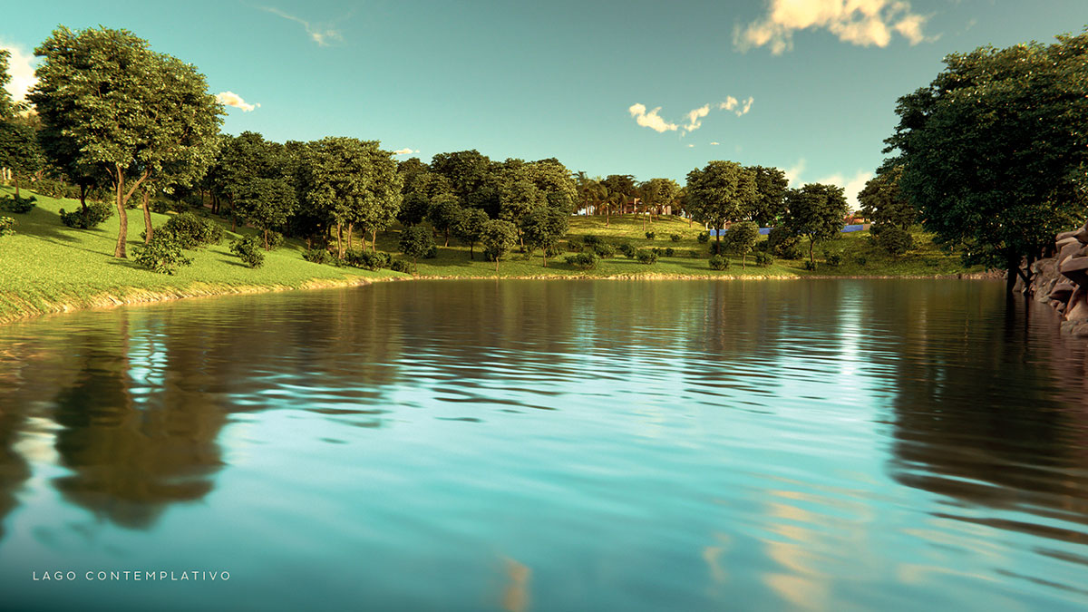 IMAGENS-SITE-QDA39